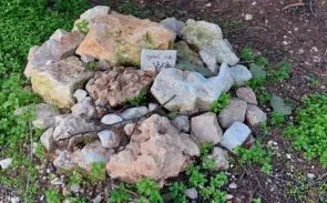 הקבר של חתולה בשם ג'ינג'ר