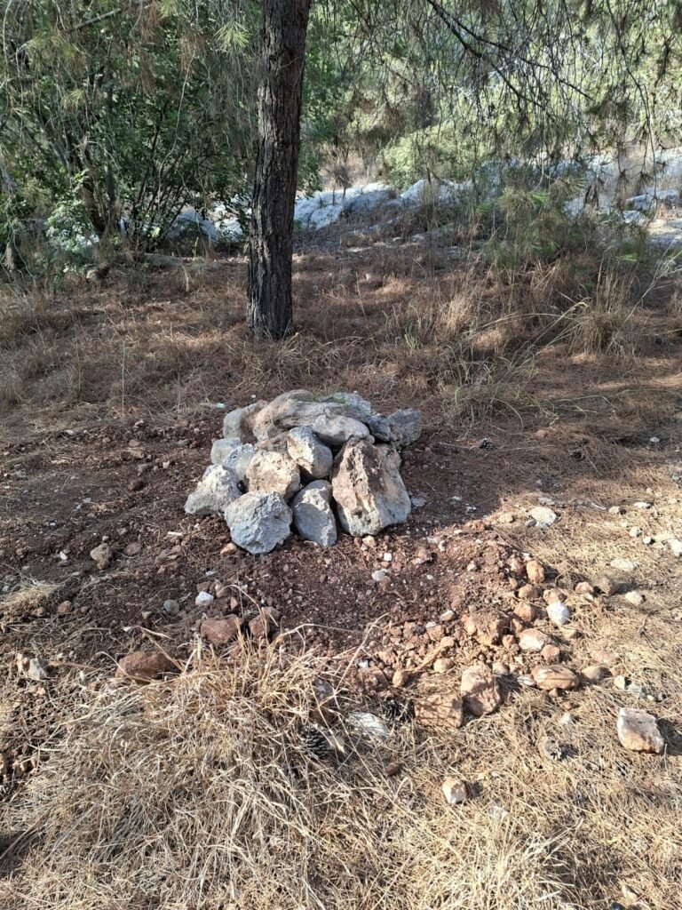 קבורת כלב בטבע