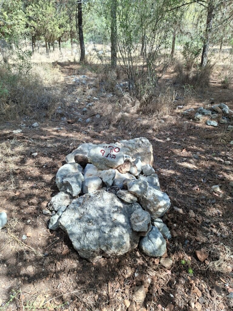 קבורת הכלבה סקיי בטבע