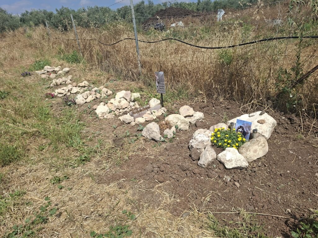 בית קברות לחיות בצפון בתל עדשים