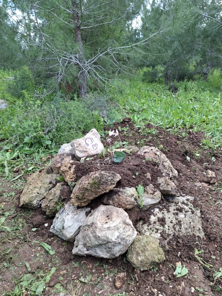 קבורת חיית מחמד בצפון